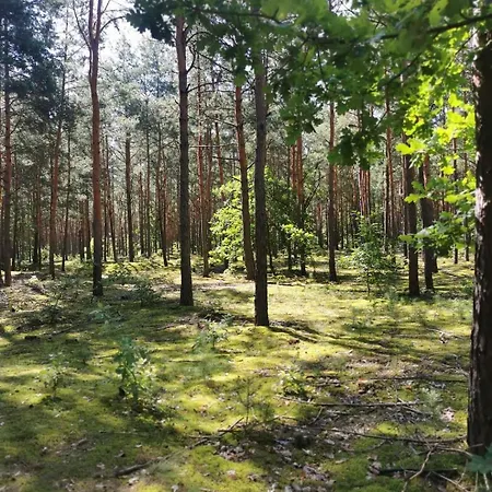 Siedlisko Pod Orzechem * Przylek