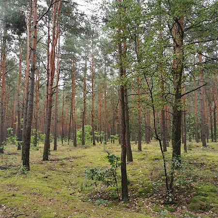 Siedlisko Pod Orzechem