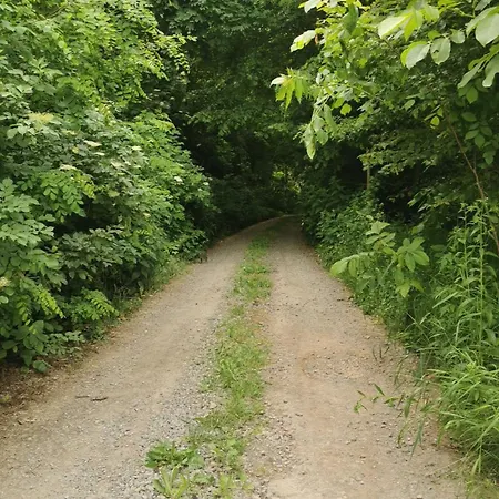 Country house Siedlisko Pod Orzechem