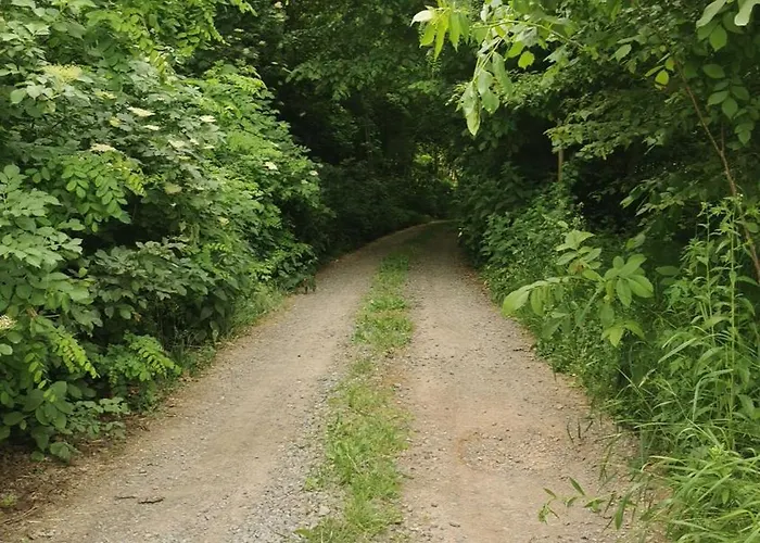 Casa di campagna Siedlisko Pod Orzechem