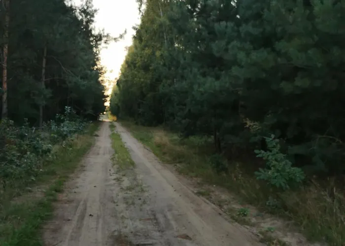 Siedlisko Pod Orzechem *