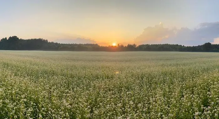 Siedlisko Pod Orzechem